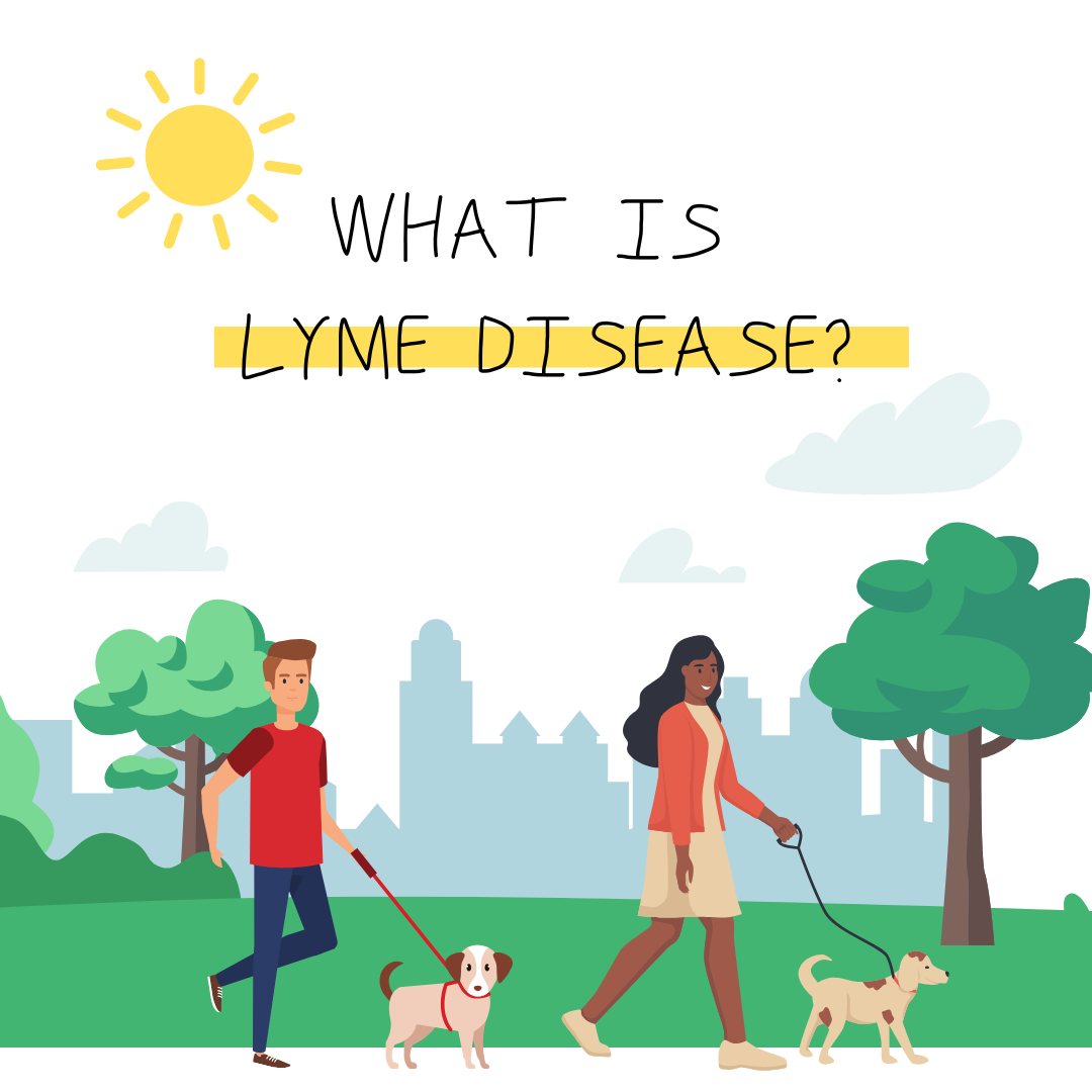 Blog list featured image